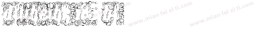 dfliheihk-w5 bf字体转换
